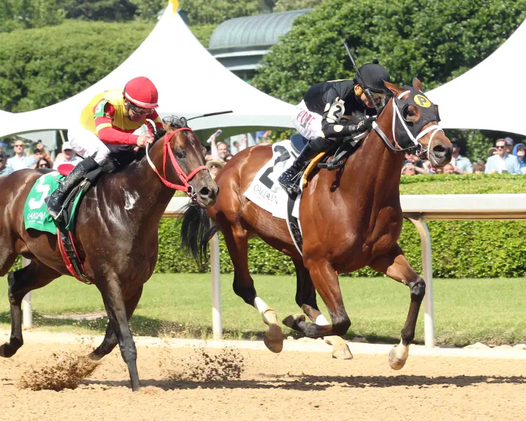 WILLY D'S - Lake Ouachita Stakes - 05-02-26 - R07 - Oaklawn Park - Finish 02 - Natalie Moses.jpg