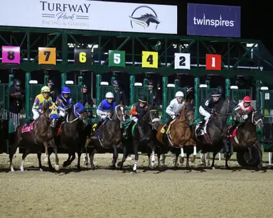 DRF's Horse Racing Playbook for Saturday, March 21