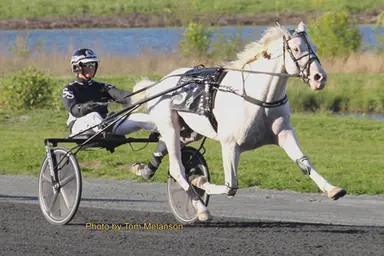 Plainridge:  Nebbiolo cruises in Bunker Hill Trot