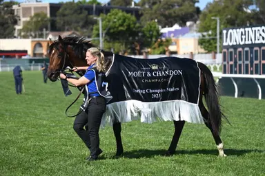 Swiftfalcon for Spring Champion Stakes