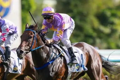 Jimmy Ting excited as Little Paradise challenges Hong Kong Classic Mile