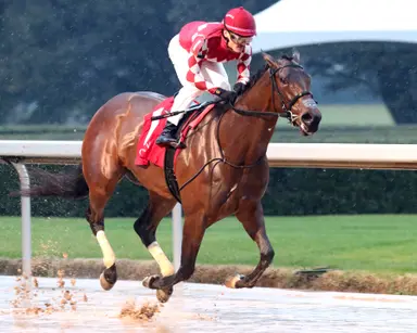 Casse stays hot as French Friction prevails in Dixie Belle