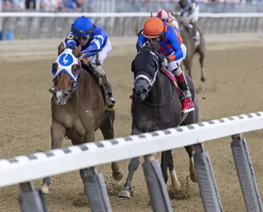 Into Mischief off to strong start in search of fifth straight sire title
