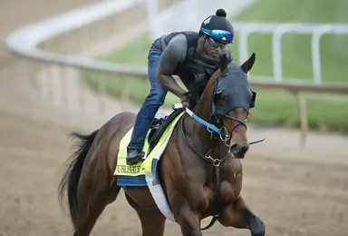 Publisher likely for Oaklawn Handicap