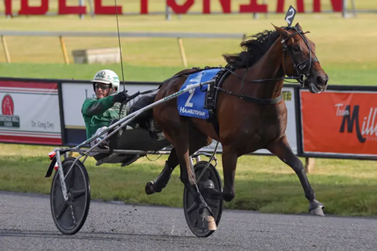Warrawee Michelle 8-3-24