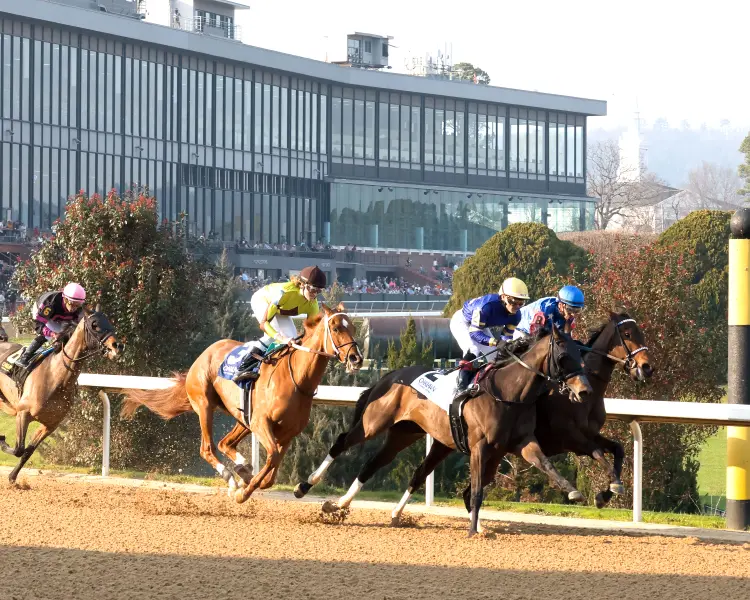 NERAZURRI - The Trivista Overnight Stakes - 02-27-26 - R08 - Oaklawn Park - First Turn 01 - Luis Tovar.jpg