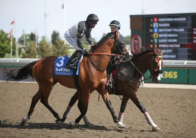 Trombetta happy to be reunited with Sky's Not Falling