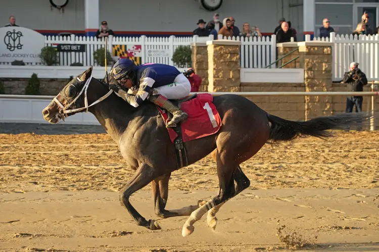Race8RichardSmallStakes.jpg