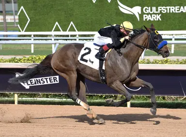 After stylish win, Dry Powder might try Ruffian Stakes