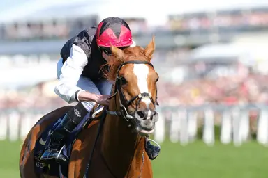 Galileo and his sireline have big Royal Ascot meet