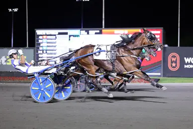 The Meadows: Odds On Mr Mamba ready to dance in $420,500 G1 Adios final