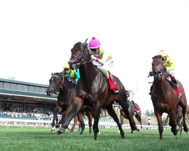Zulu Kingdom wires Maker's Mark Mile off eight-month layoff, giving Brown 3,000th win