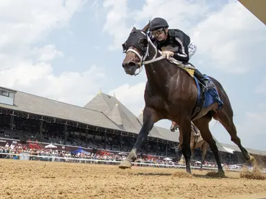 OBS June sale represents last chance to pick up a first-crop Yaupon juvenile