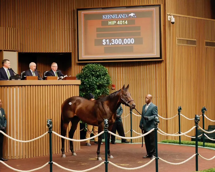 $1.3 Million Bishops Bay KEE Nov HRA Sale.jpg