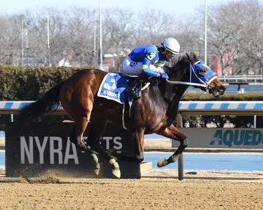 North Carolina gets a stakes winner from its four 2022 foals