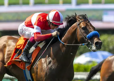Flyover, Mohaven set to give Sadler more stakes wins at Del Mar