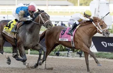 The Puma's camp remains upbeat despite narrow Florida Derby loss