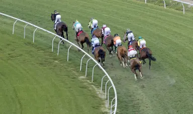 Late rally staunches Fair Grounds handle decline