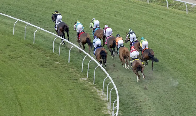 Fair Grounds.Turf course.Racing scenic.3-25-23.BL_.jpg