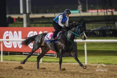 Japan: Wilson Tesoro, Dura Erede tangle in February Stakes