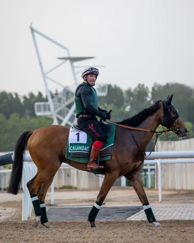 Calandagan towers over Sheema Classic field in 2026 debut
