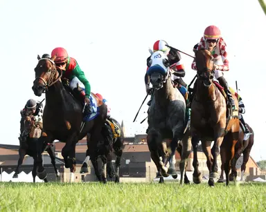 DRF's Horse Racing Playbook for Wednesday, September 13, 2023