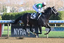 Disco Time, Tappan Street get good position in Pegasus World Cup draw