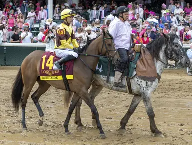Ortiz says Quietside's rhythm perfect for Azeri