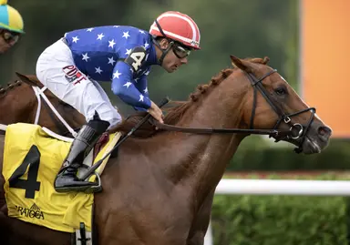 Neat hopes to get back to brighter days in Cliff Hanger