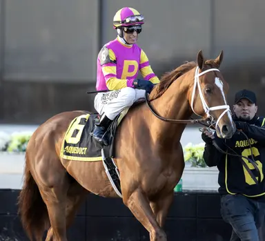 Weekend GamePlan: Picks for Risen Star, Albert M. Stall Memorial, Turf Dash