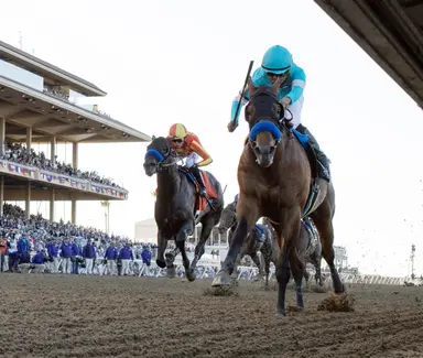 Kentucky Derby: Citizen Bull's name has some moving parts