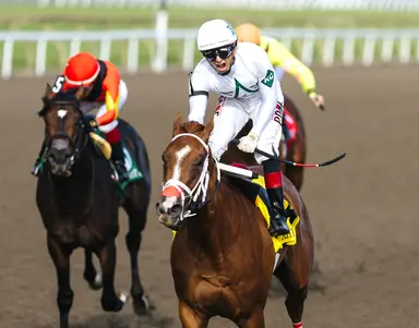 Weekend GamePlan: Picks for Maple Leaf, Bessarabian, Aqueduct Turf Sprint Championship