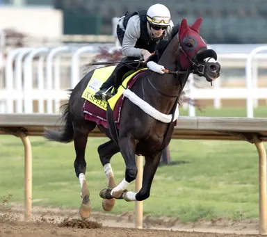 Kentucky Derby runner Six Speed now trained by Weaver