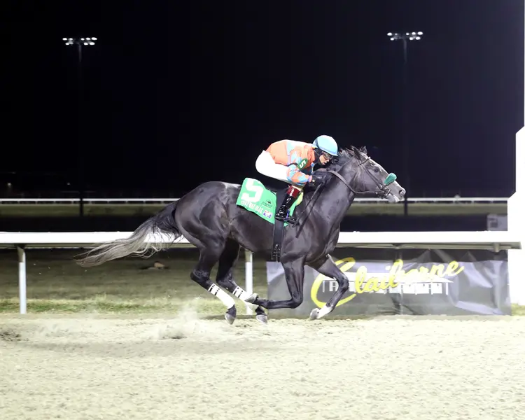 HOMETOWN BOUND - The Turfway Prevue 31st Running - 01-03-26 - R06 - Turfway Park - Finish 01.jpg