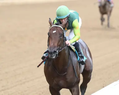Weekend GamePlan: Picks for Mucho Macho Man, Smarty Jones, Ginger Brew