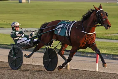 Yonkers: Nearly a million on the line for Bako pair in Friday stakes