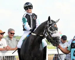 Jr Shadow Boy stays perfect with scorching win in Sagamore Sired Handicap
