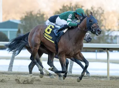 Iron Honor takes step forward with game victory in Gotham