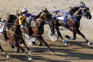 Harness: Racing needs to bring fans to the edge of their seats