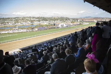 Total wagering increases 1.2 percent in November