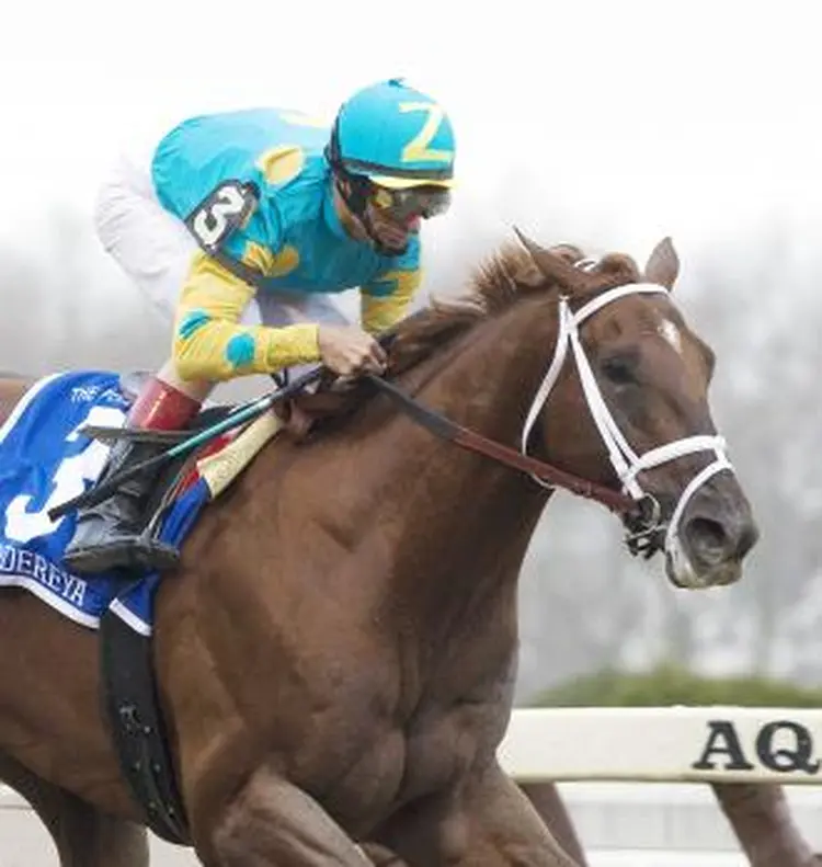 Eskendereya - Eclipse Awards