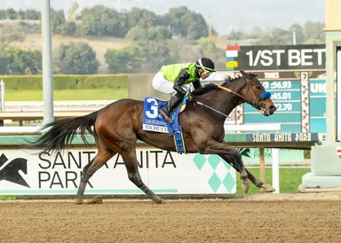 Brad Free's Santa Anita Horses to Watch for week of Jan. 1-5, 2025