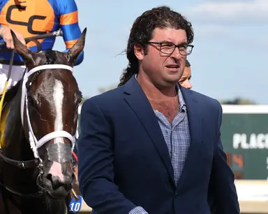 Royal Palm meet begins; 31 stakes scheduled