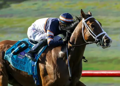 Multiple stakes winner Lieutenant Dan retired