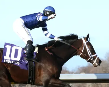 Endlessly might be back in Kentucky Derby picture