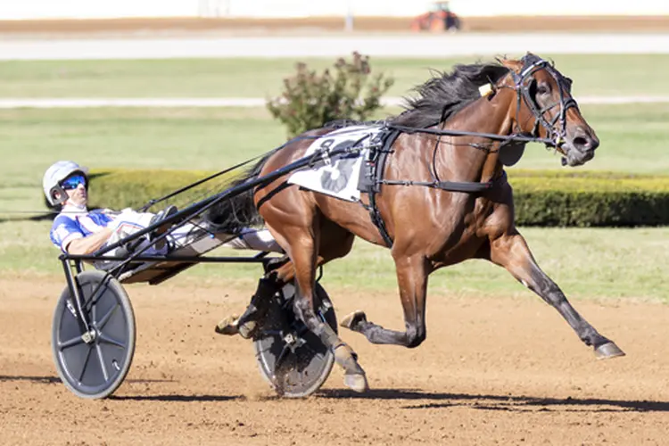 Delaney Hanover 10-5-25