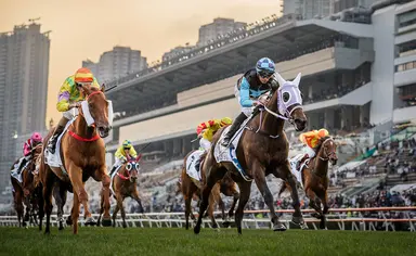 Matthew Chadwick bids for Sa Sa Ladies’ Purse success on Super Sunny Sing