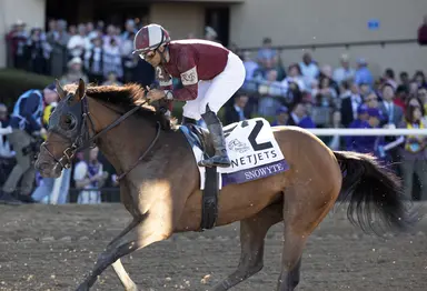 Gargan confident Snowyte is ready for stakes competition again