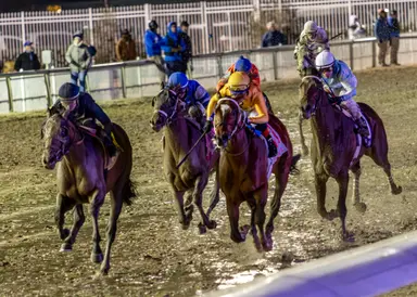 Kentucky Derby Future Wager: Sierra Leone made 5-1 morning-line favorite for Pool 5