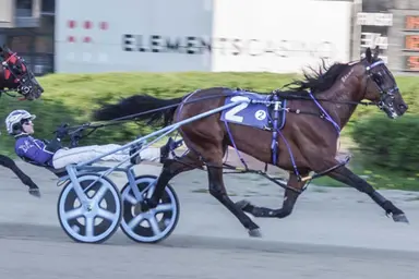 Harrah's Hoosier Park: Dan Patch starter Prince Hal Hanover proving himself versus older foes